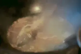 变形计-男孩尝出妈妈做的饭，躲在监控室的妈妈非常激动视频封面