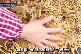 为什么我们不允许农村使用柴火灶？原因其实很简单：会污染空气视频封面