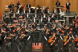 蓝色多瑙河创作150周年 法媒：失败作品终成经典图片