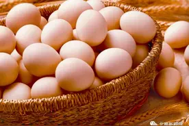 酉年说鸡｜关于“鸡”的歇后语您都知道哪些？图片