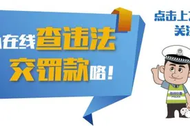 小编带你看《极限特工：终极回归》图片