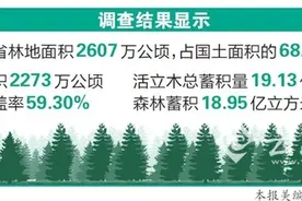 第四次森林资源调查数据发布 云南森林资源数量增加质量提高图片