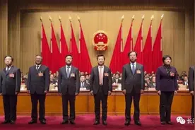 当选后集体亮相并宣誓！武汉市新一届人大常委会及市政府领导都是谁？图片
