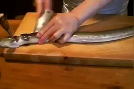 看看师傅是如何处理一只海鳗的，手法行云流水，干净利落