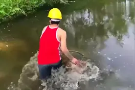 搞笑视频：学车小伙到鱼塘捞鱼逗死我了视频封面