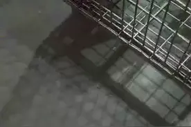 上海申通罗泾快递公司视频封面