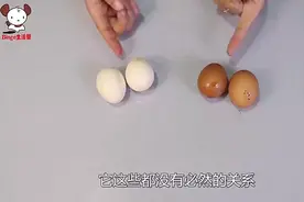 白皮鸡蛋和红皮鸡蛋到底有什么区别？哪个营养高？看完终于明白了视频封面