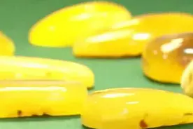 俄罗斯经济特区：加里宁格勒，地下埋藏的都是宝物！视频封面