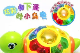 会下蛋的小乌龟图片