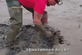 民间牛人发明“捉蚯蚓”神器，30分钟捉半桶蚯蚓，农村钓鱼很实用视频封面