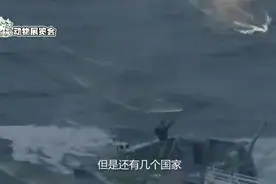 日本捕鲸最厉害？其实冰岛才是捕鲸大国，专门捕鲸卖给日本