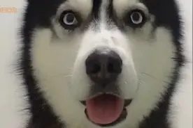 这就是你男朋友看见美女的表情，没错，男人都是大猪蹄子！