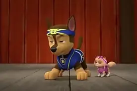 汪汪队立大功：毛毛滑稽出场，就是小逗逼，逗逼欢乐多视频封面