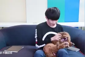 没有王源养不胖的狗？真的！比如这只叫“火锅”的狗！