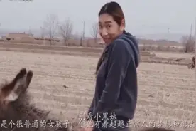 河南后农村妹，骑着毛驴徒步全国个城市，称一定要到终点视频封面