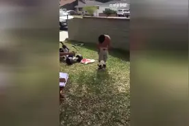 君子坦蛋蛋，小人长戚戚，敢惹我视频封面