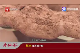 太妙！食用“灵芝孢子粉”，具有增强免疫力降血压血糖等功效视频封面