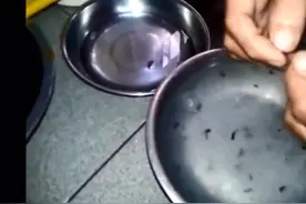 洗燕窝挑毛的详细步骤图片