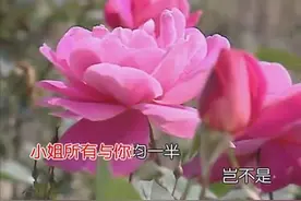 潮剧《应让麒麟配凤凰》演唱：孙小华 林初发视频封面