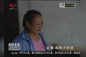 因一棵树将同乡告上法庭，索赔42万，究竟发生了什么纠纷？视频封面