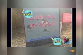 如何正确问女朋友想吃什么-每日一囧