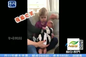 姐姐初次见弟弟，表情逗趣视频封面