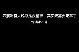 猫咪为什么没精神，其实需要这样了视频封面