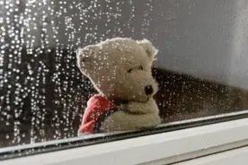 是你吗？天生桀骜不驯的生肖视频封面