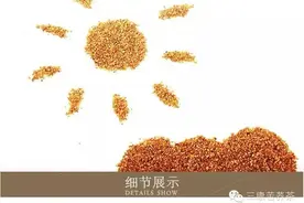 三康苦荞茶的美容秘方图片
