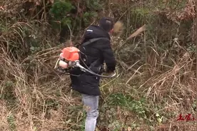 农村小伙用割草机收拾土边的杂草，效果很好，收拾好了栽桃树！