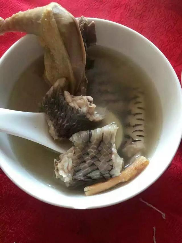 田埂上打到的水泡蛇,我们家乡有人叫它:草花公,处理好的蛇肉老母鸡炖