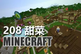 克里思 我的世界 生存指南 208 甜菜