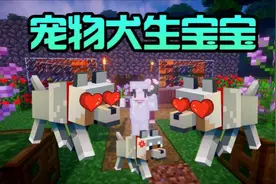 我的世界Minecraft《宠物狗生宝宝》游戏实况