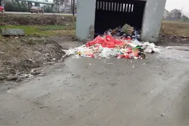 受不了！于城某路段满地垃圾，经过都是阵阵恶臭...图片