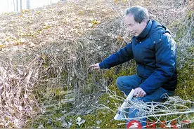 明都堂王诰的坊间之谜图片