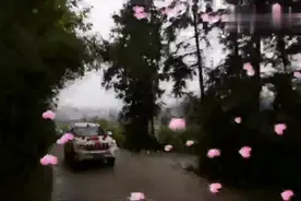 湖南农村婚礼，新娘有点胖，下车时，新郎抱不动视频封面