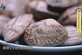 花蛤蛏子挑选秘诀公开！闭咬紧实难辨别是否新鲜，轻轻一敲出真知视频封面
