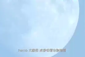 猫头鹰在飞行的时候为什么没有声音？看完涨知识了！