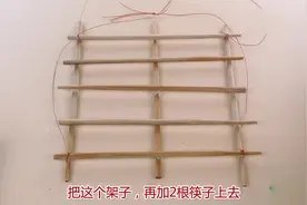 旧筷子别扔了，绑根绳放阳台，原来用处这么棒，家人看到都说好视频封面