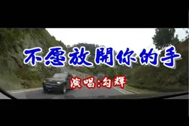 一首《不愿放开你的手》好听至极视频封面