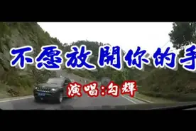 一首《不愿放开你的手》好听至极视频封面