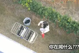 韩国淘气弟弟整蛊姐姐，老爸居然是“帮凶”，最后姐姐愤怒了！视频封面