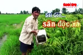 用老鼠当诱饵来捕蛇，看着真瘆的慌图片