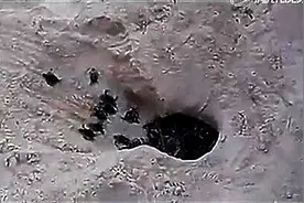 海滩上发现一个洞，靠近一看，竟是一窝密密麻麻的小龟图片