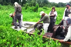 亚马逊河流中狩猎蟒蛇，三个人硬把蛇拉上了船，好刺激图片