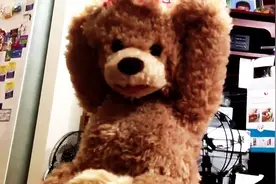 原本很萌的泰迪熊绒毛玩偶，下一秒的变化居然让人整个身体一抖！图片