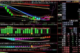 泸指是什么意思图片