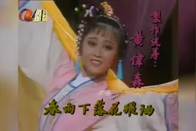 87版电视剧“貂蝉”，周旋在吕布和董卓间的绝美女子，主演：利智视频封面