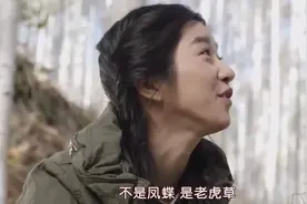 看见蝴蝶有好事，中国有这个说法吗？