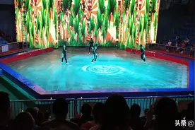 分享视频视频封面